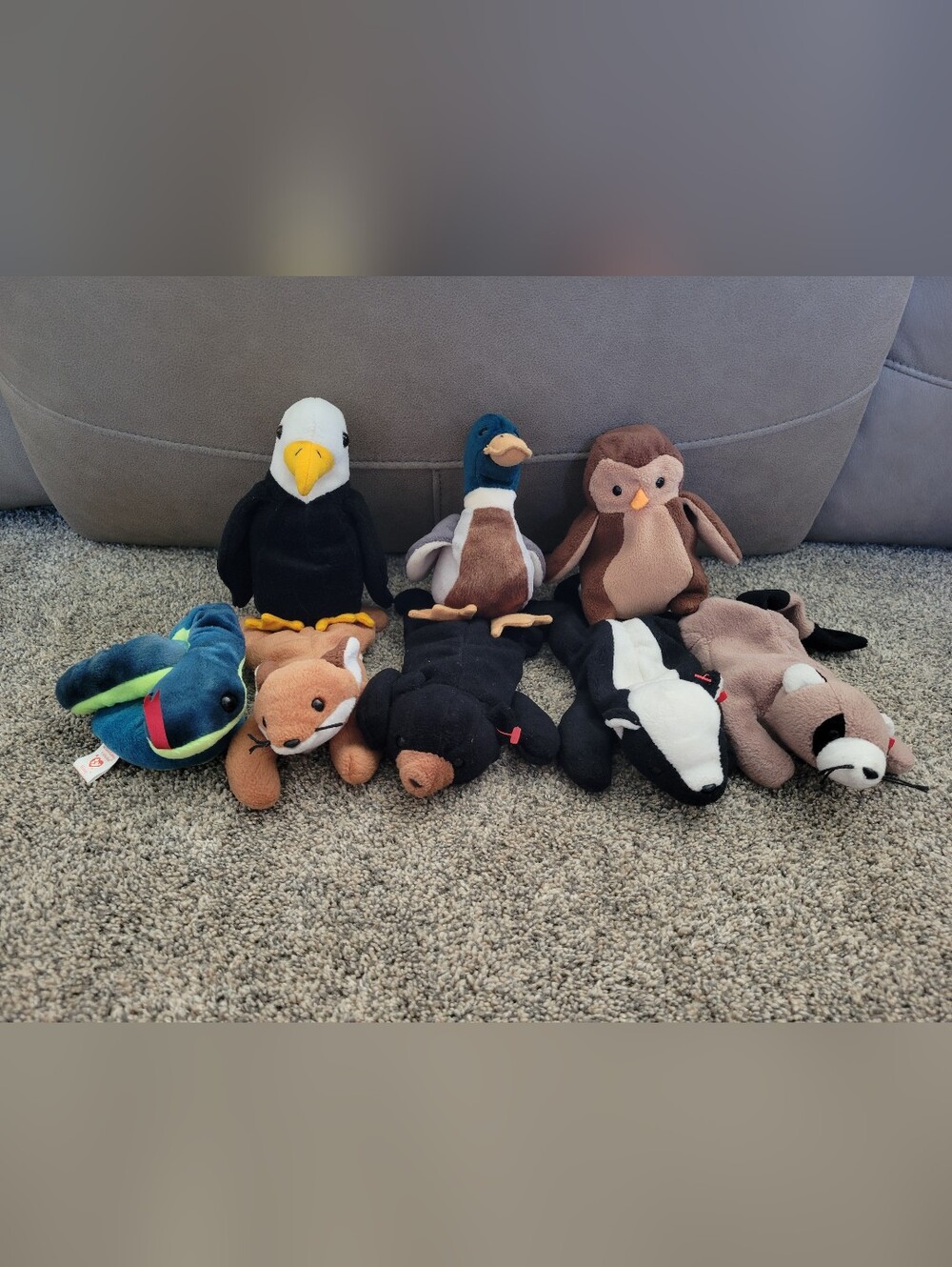 Ty Beanie baby bundle - eagle, fox, snake, raccoon, skunk, bear, owl and duck
